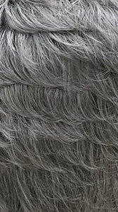it's a Wig!- PIN CURL 202