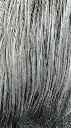 It's a Wig!- Q CUPID